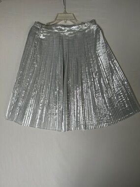 Talbots Silver Metallic Pleated Skirt